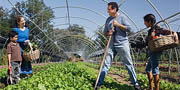 Sustainable farming practices