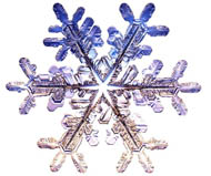 Snowflake photo